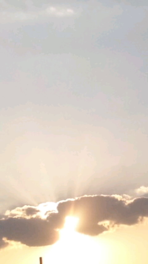 SH3L07640001.jpg