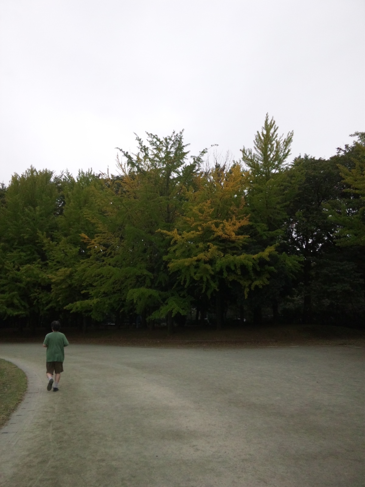 SH3L0769.jpg