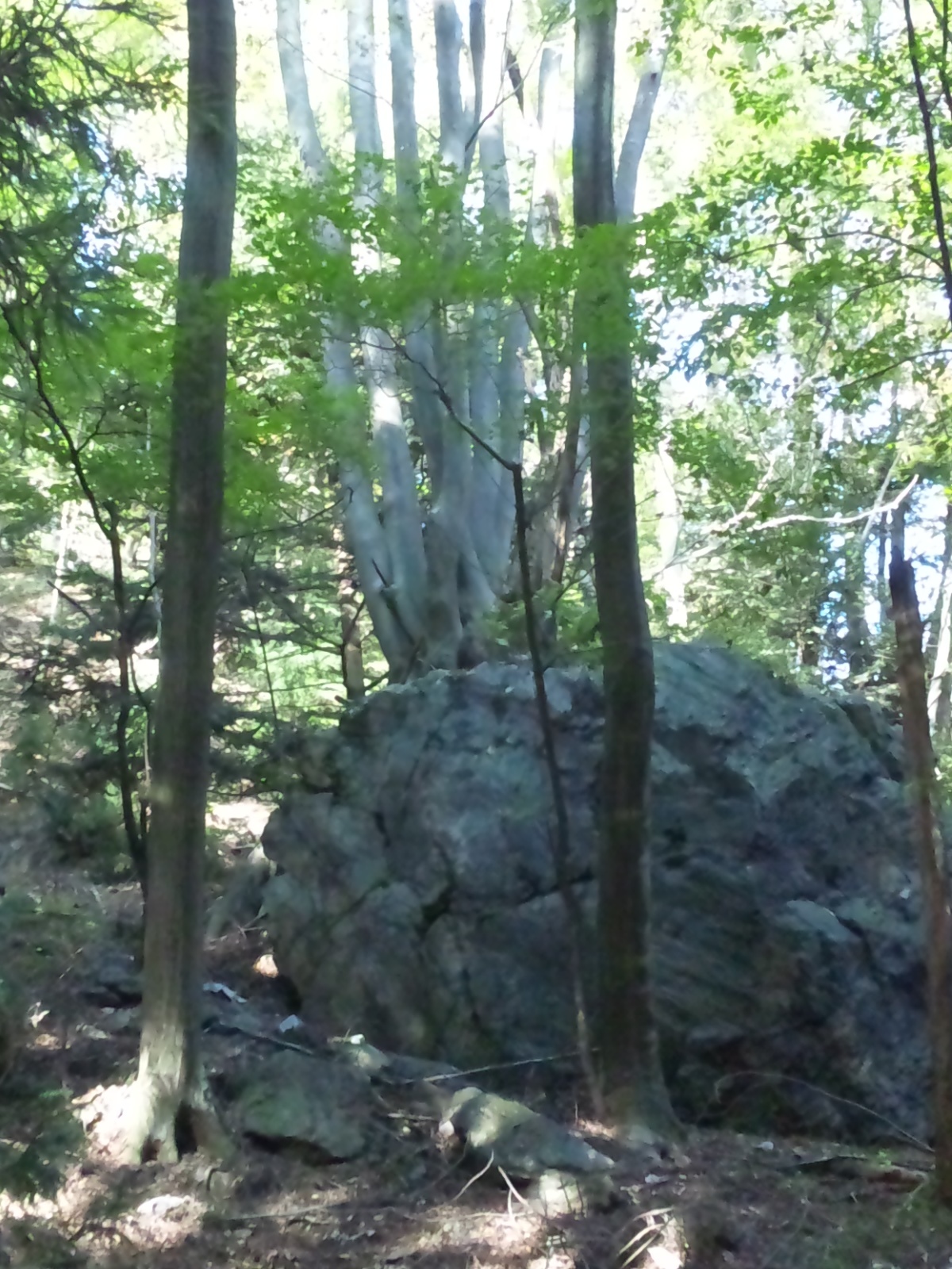 SH3L0833.jpg