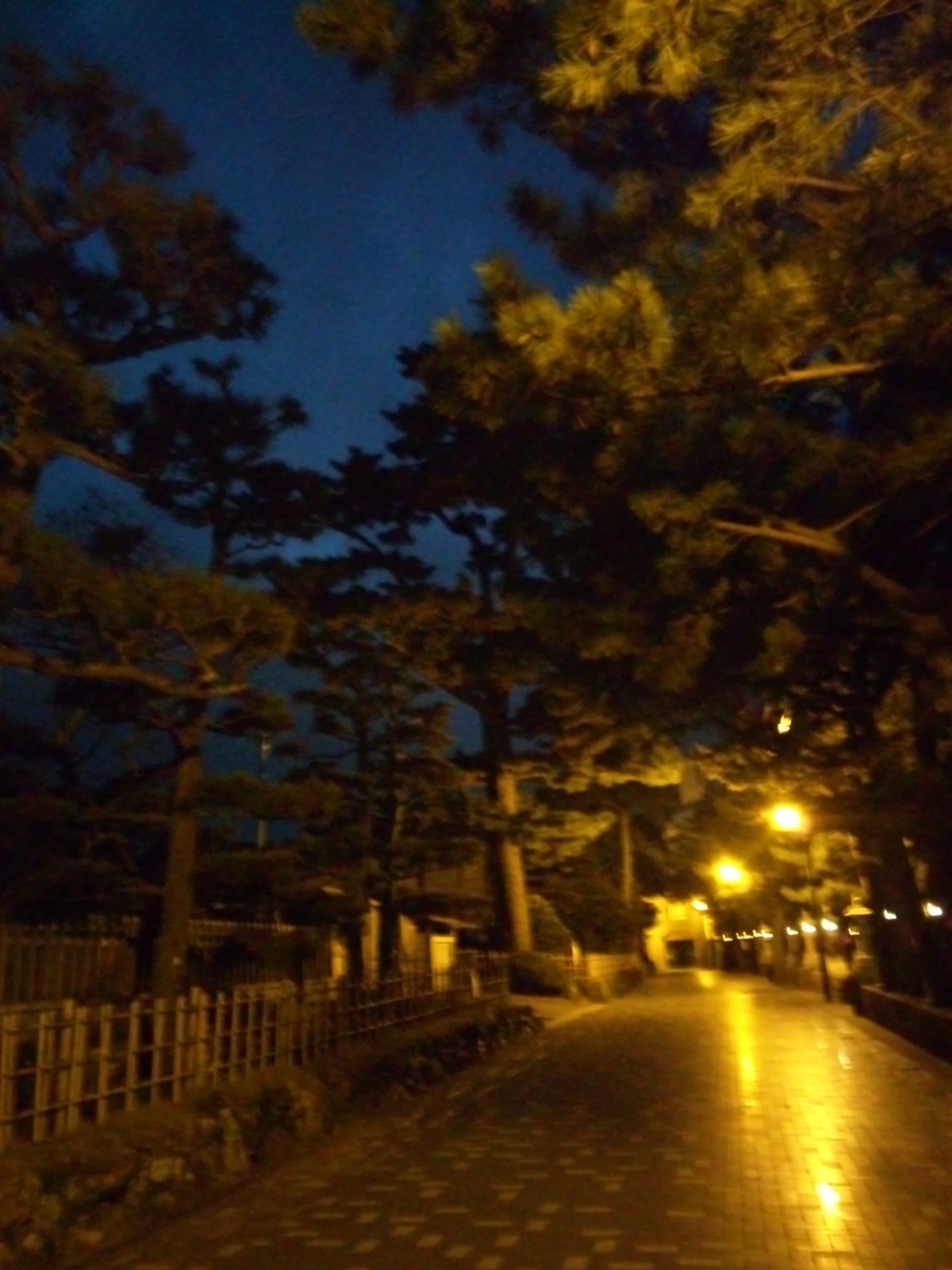SH3L0868.jpg