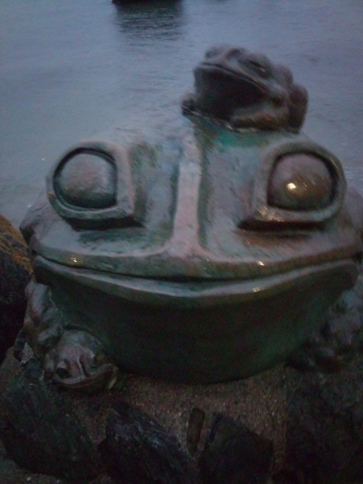 SH3L0877.jpg