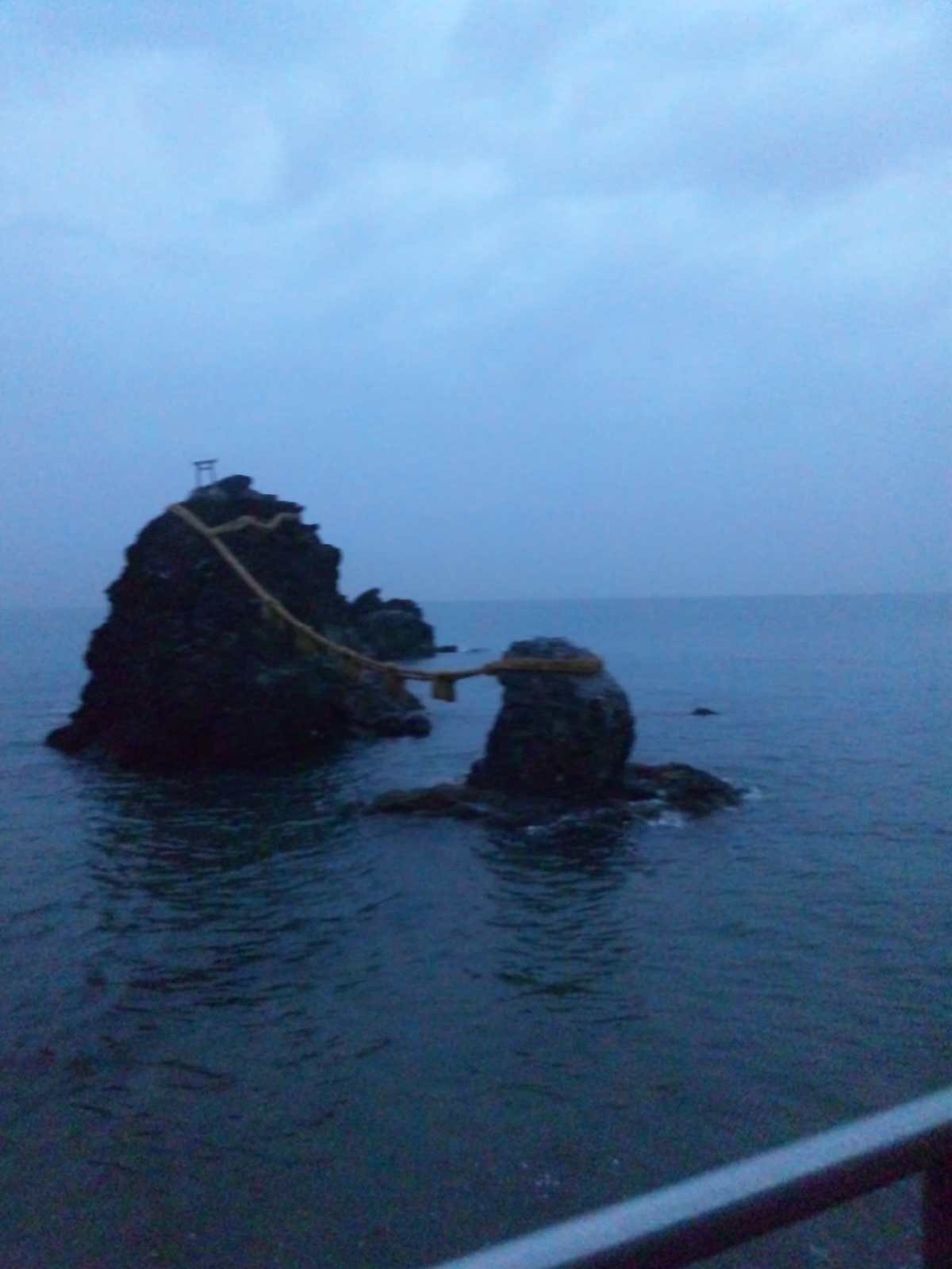 SH3L0880.jpg