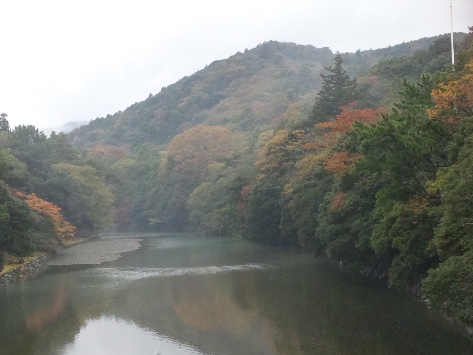 SH3L0889.jpg