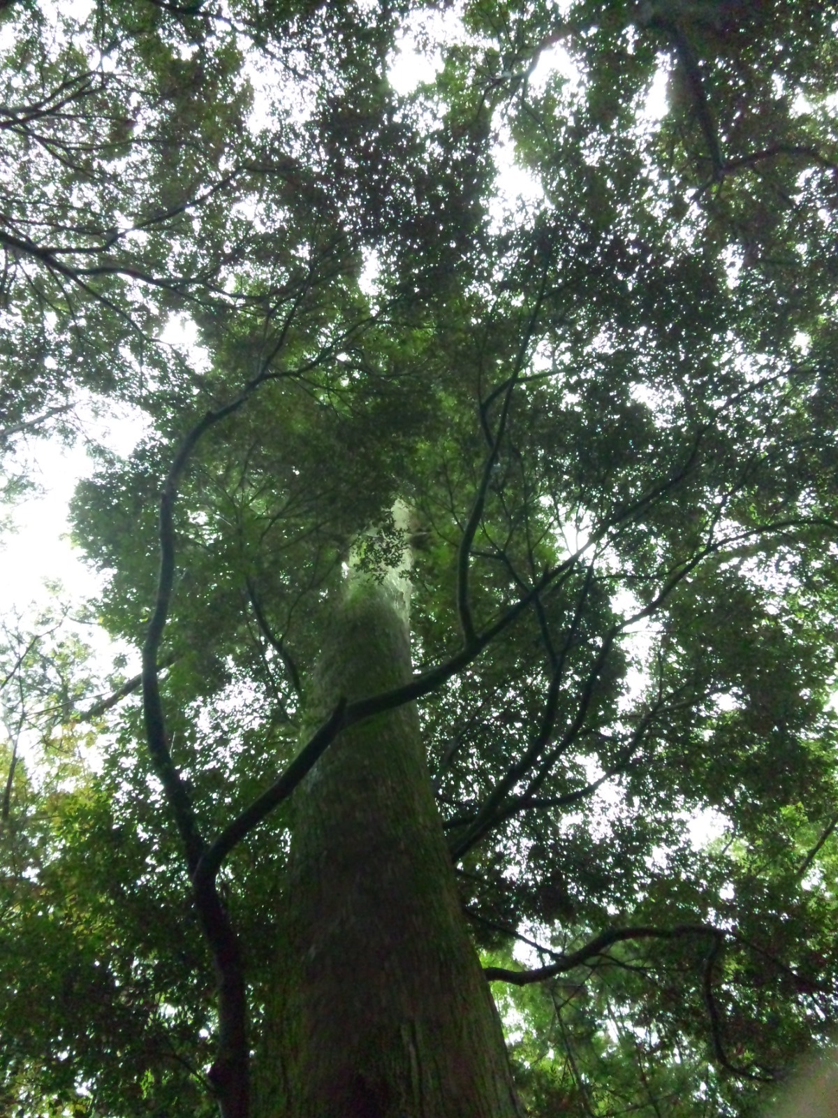 SH3L0906.jpg